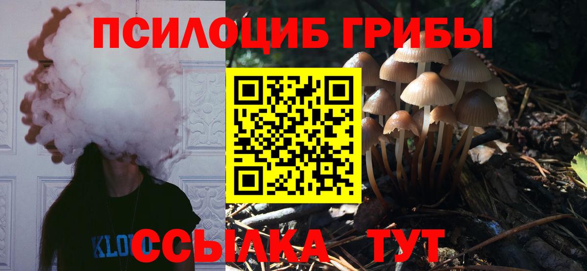 Галлюциногенные грибы GOLDEN TEACHER  Псилоцибиновые грибы Psilocybe  Сосновый Бор  Вход с VPN 